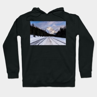 Ice on the Icefields Parkway Hoodie